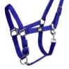 Supreme Cavezza puledro regolabile e moschettone - Blu royal