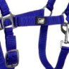 Supreme Cavezza puledro regolabile e moschettone - Blu royal
