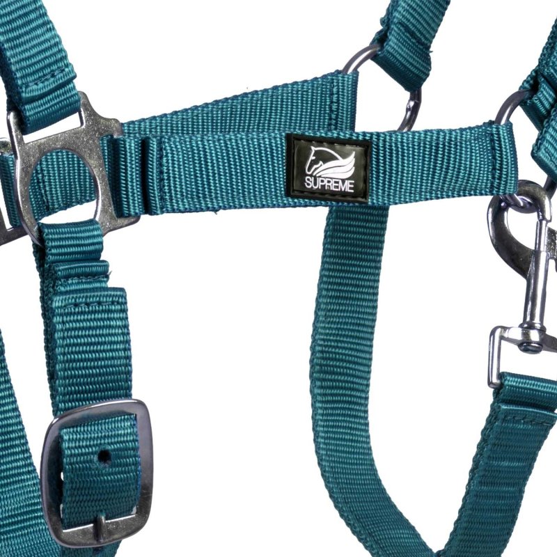 Supreme Cavezza puledro regolabile e moschettone - Turchese