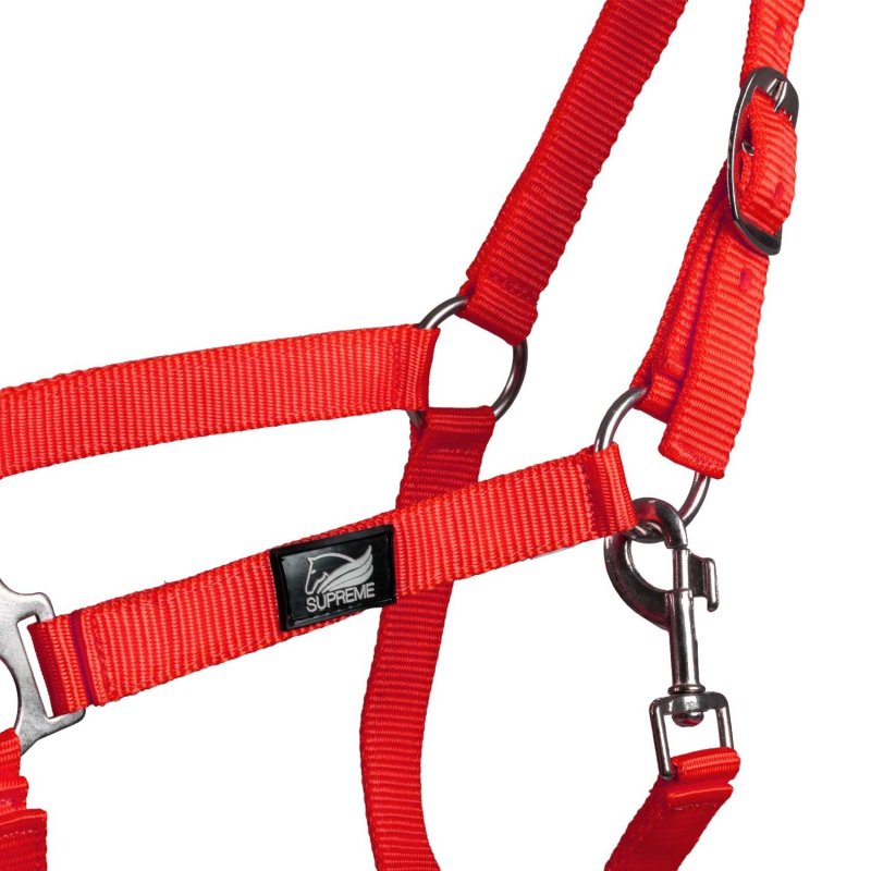 Supreme Cavezza puledro regolabile e moschettone - Rosso