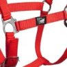 Supreme Cavezza puledro regolabile e moschettone - Rosso