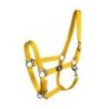 Supreme Cavezza puledro regolabile e moschettone - Giallo