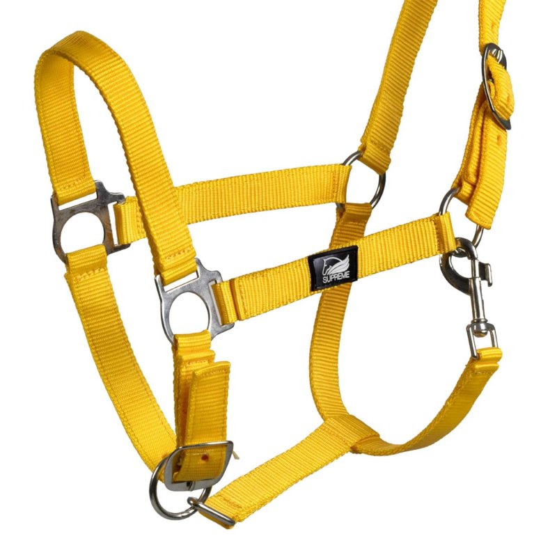Supreme Cavezza puledro regolabile e moschettone - Giallo