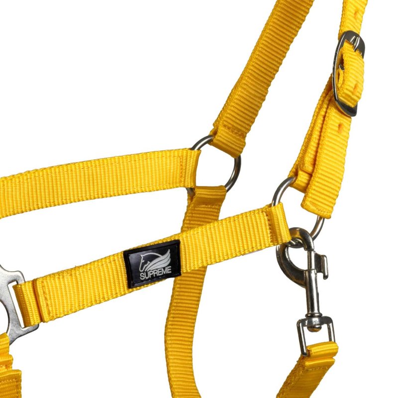 Supreme Cavezza puledro regolabile e moschettone - Giallo