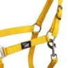 Supreme Cavezza puledro regolabile e moschettone - Giallo