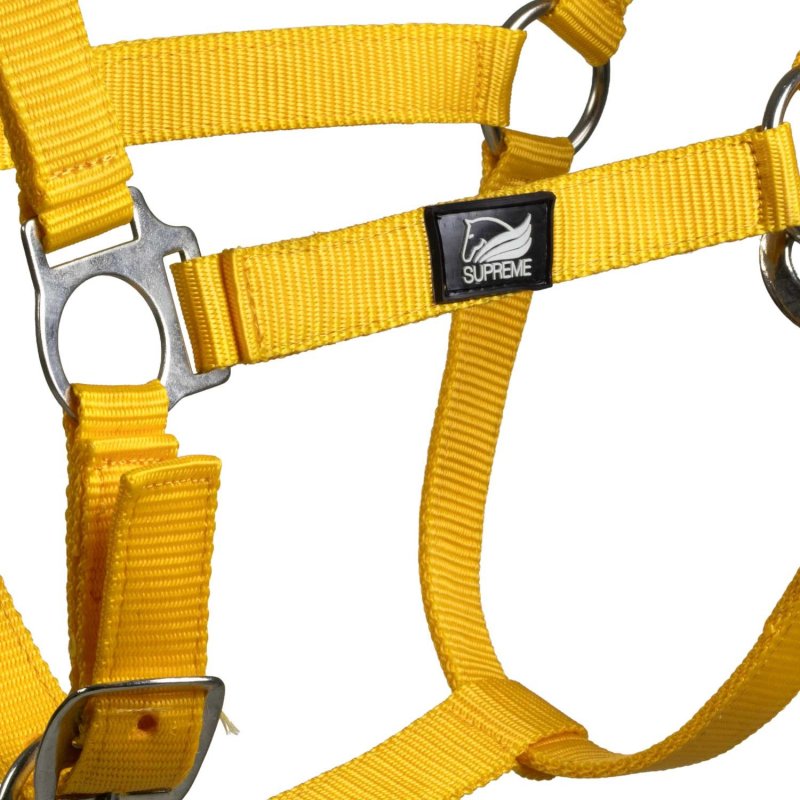 Supreme Cavezza puledro regolabile e moschettone - Giallo