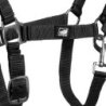 Supreme Cavezza puledro regolabile e moschettone - Nero