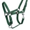 Supreme Cavezza puledro regolabile e moschettone - Verde scuro