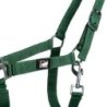 Supreme Cavezza puledro regolabile e moschettone - Verde scuro