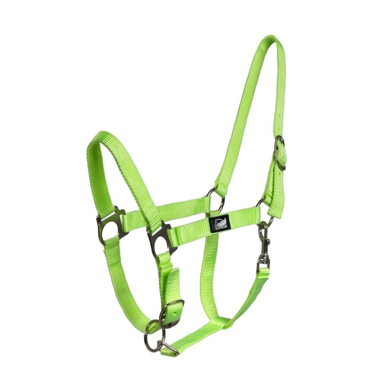 Supreme Cavezza puledro regolabile e moschettone - Lime