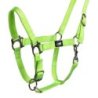 Supreme Cavezza puledro regolabile e moschettone - Lime