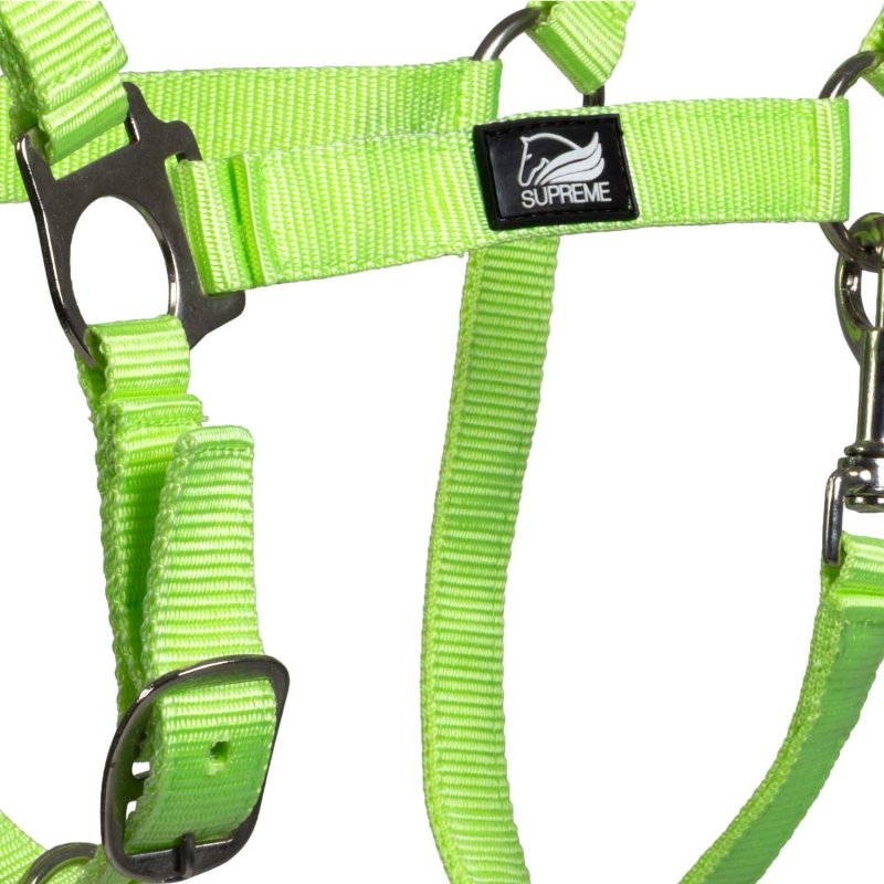 Supreme Cavezza puledro regolabile e moschettone - Lime