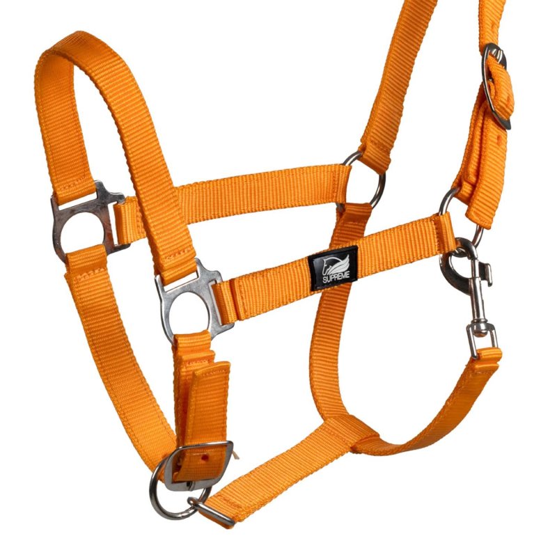 Supreme Cavezza puledro regolabile e moschettone - Arancione