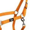 Supreme Cavezza puledro regolabile e moschettone - Arancione