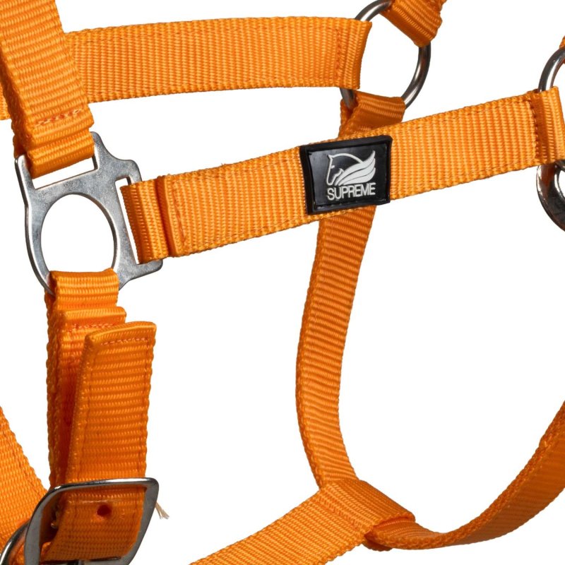 Supreme Cavezza puledro regolabile e moschettone - Arancione