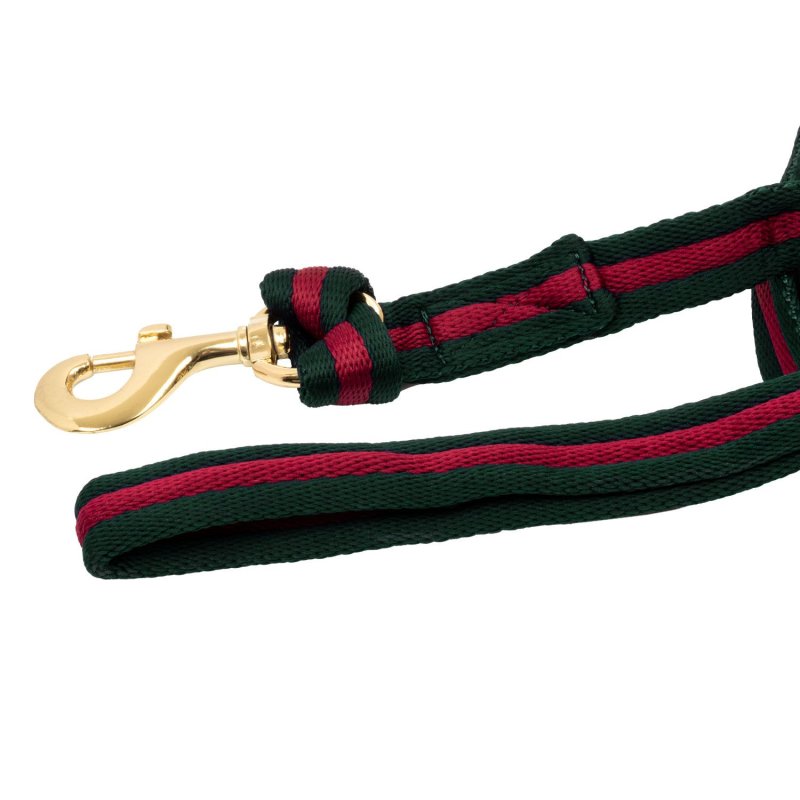 Umbria Equitazione Longia imbottita 8 m - Verde scuro/Bordeaux