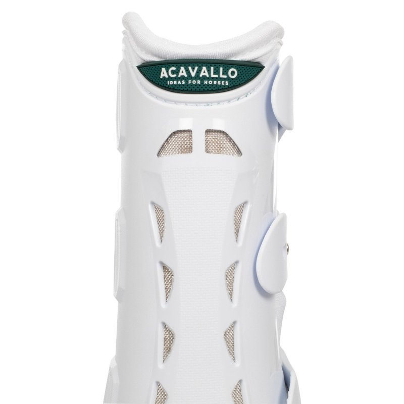Acavallo Stinchiere dressage anteriori anatomiche - Bianco