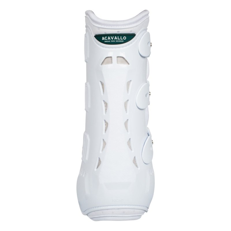 Acavallo Stinchiere dressage posteriori anatomiche - Bianco