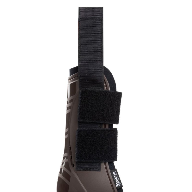 Umbria Equitazione Paratendini neoprene rinforzo plastica - Marrone