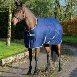 Bucas Coperta da box Freedom Stable 300 g