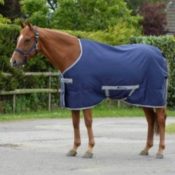 Bucas Coperta Freedom Twill Sheet in canvas