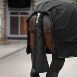 Bucas Sacca per coda