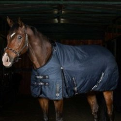 Equestro Coperta da paddock Nevada 250 g