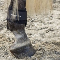 D-istinto Paranocche TPU nere con fascia in neoprene