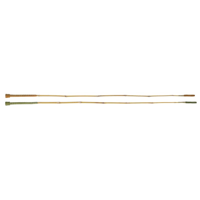 Fleck Frustino dressage green line