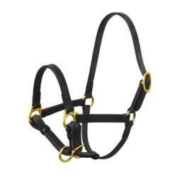 Sartore Cavezza puledro fibbie ottone