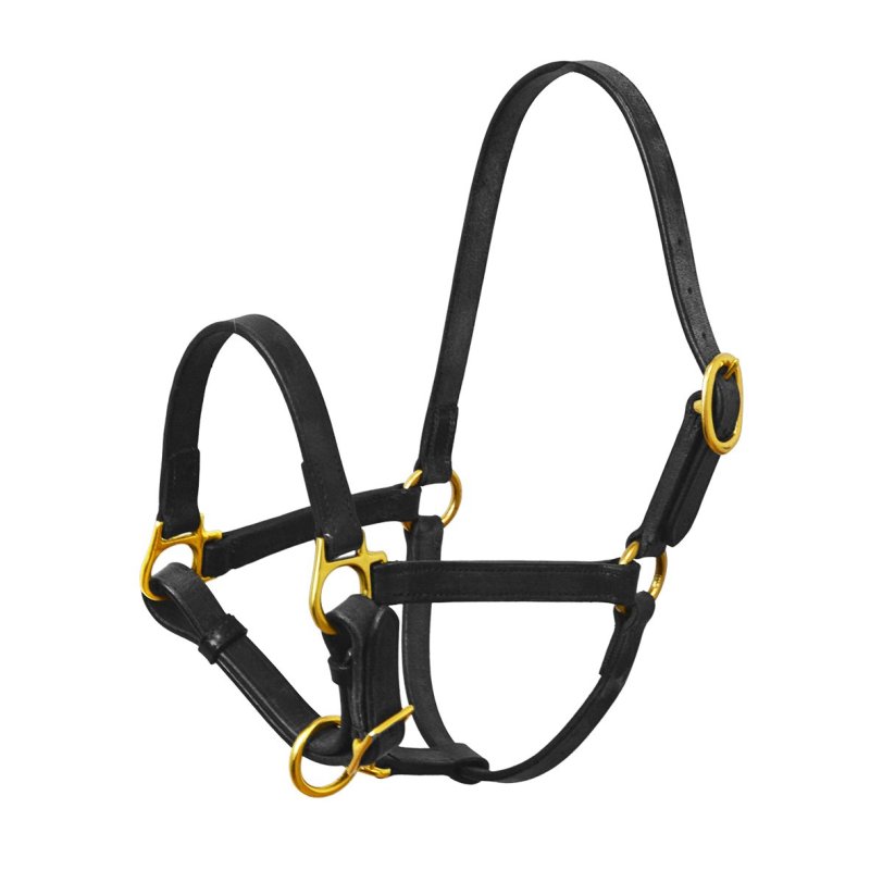 Sartore Cavezza puledro fibbie ottone