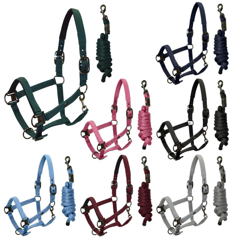 Sartore Set cavezza imbottita+lunghina - Cob azzurro