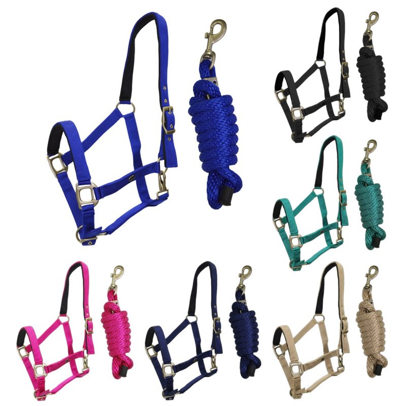 Sartore Set cavezza imbottita+lunghina - Cob azzurro it.