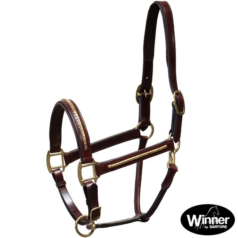 Sartore Gold Cavezza gold clincher ottone