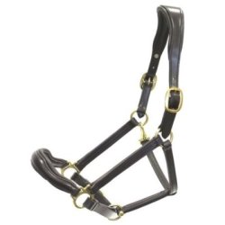 Cavezza Winner sagomata 19 mm