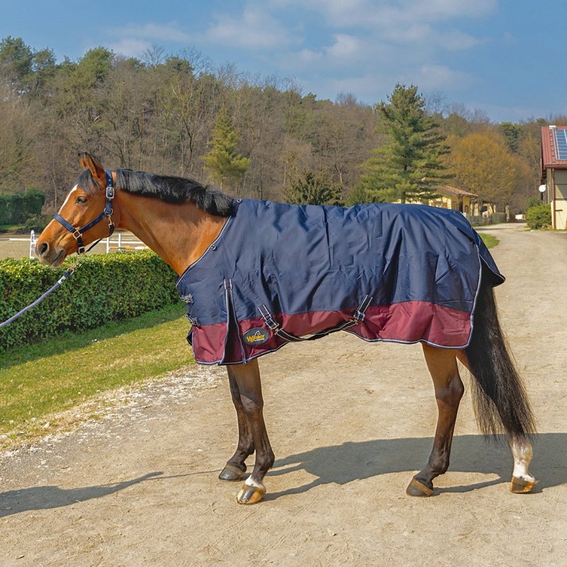 Coperta Winner da paddock 300g