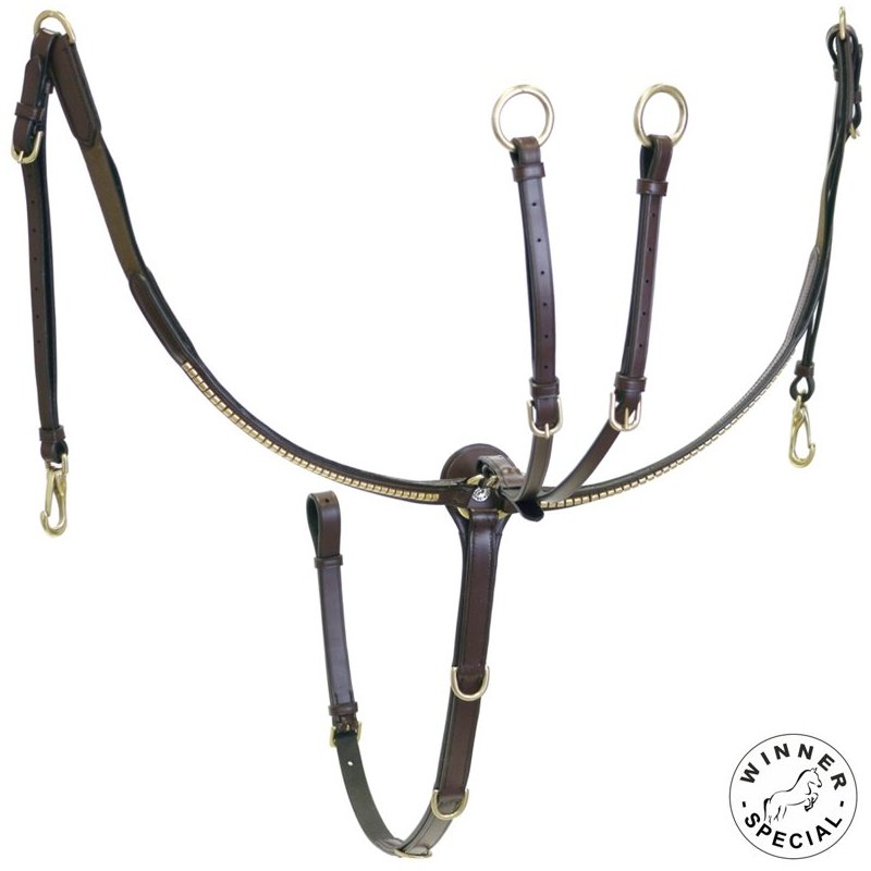 Winner Special Pettorale con clincher ottone