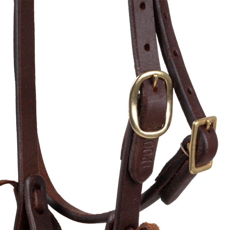 Pool's Equitazione Briglia Western monorecchio con sottogola (ottone)