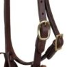 Pool's Equitazione Briglia Western monorecchio con sottogola (ottone)