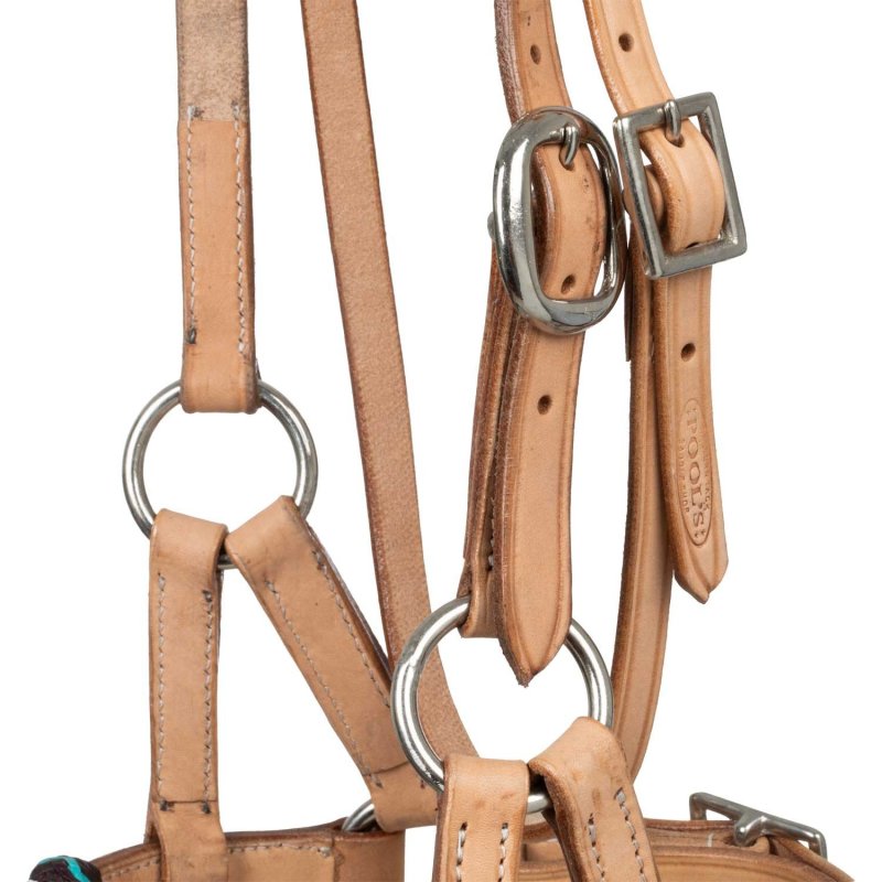 Pool's Equitazione Sidepull Western con perline colorate