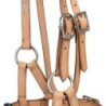 Pool's Equitazione Sidepull Western con perline colorate