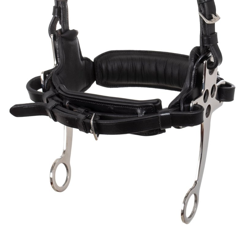 Supreme Briglia Bitless con Hackamore e imbottiture