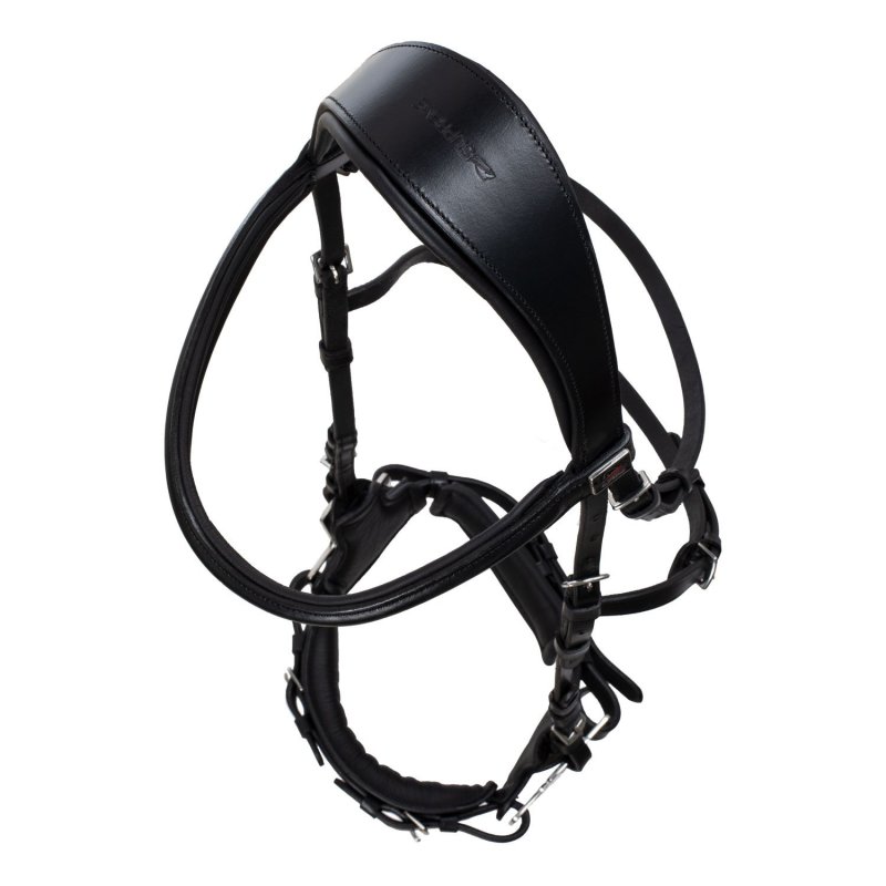 Supreme Briglia Bitless con Hackamore e imbottiture