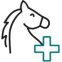 Cura del Cavallo: Igiene, Alimentazione e Accessori | EquiSportMania