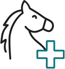 Horse Care
