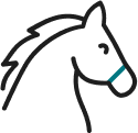 Cavallo