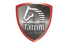 Tattini