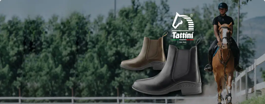 Tattini