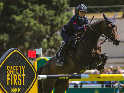 Protezione del cavallo: come scegliere le stinchiere e i paraglomi giusti