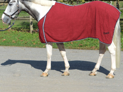 Coperta cavallo primavera: grammatura, impermeabile e scelta